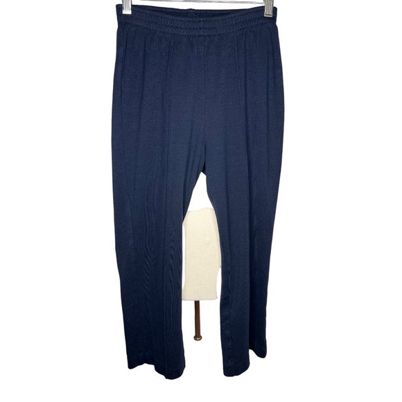 C.D. PETITES Women's Pants Stretch Blue size 4P (no tag size) straight leg Pull - Picture 1 of 9